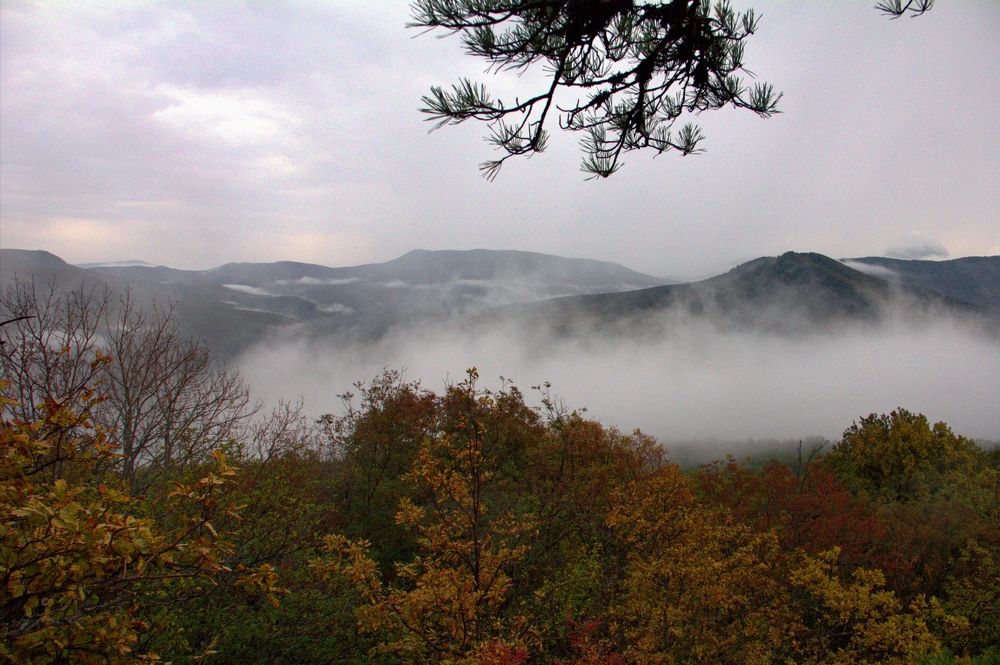 Фотография автора Таня Долгушева