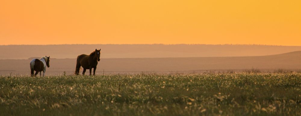 Фотография автора Александр Довганюк