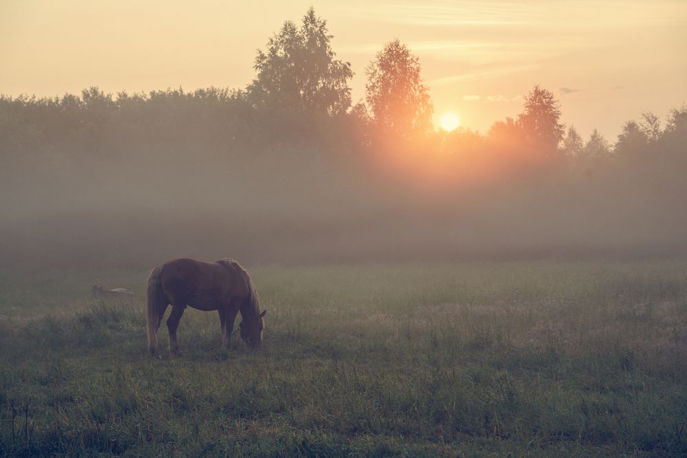 Photograph by Евгений Калагаев