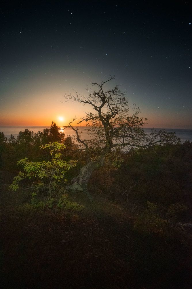 Photograph by Дмитров Андрей