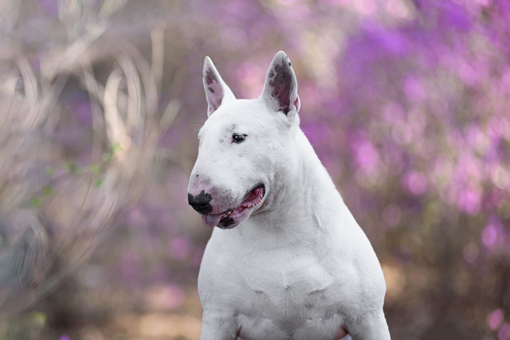 Photograph by Виктория Сафонова