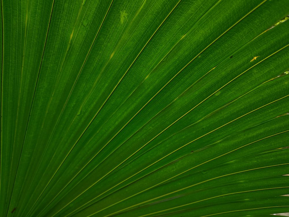 Photograph by MARK ANTHONY SANTOS