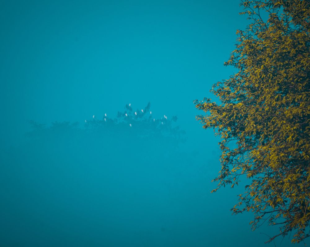 Photograph by Ashish Kalsarpe