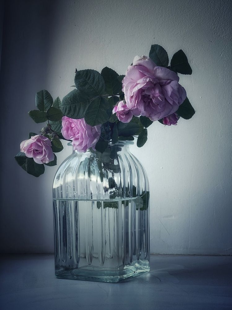 Photograph by Кира Бахвалова