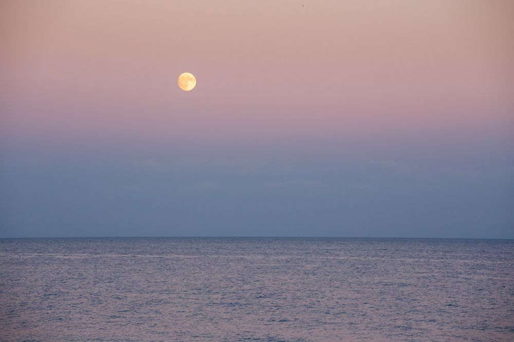 Photograph by Vasily Prokhorov