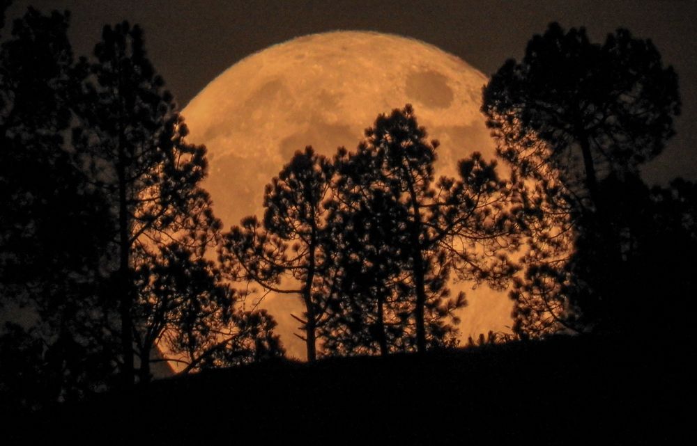 Фотография автора digvijay singh janoti