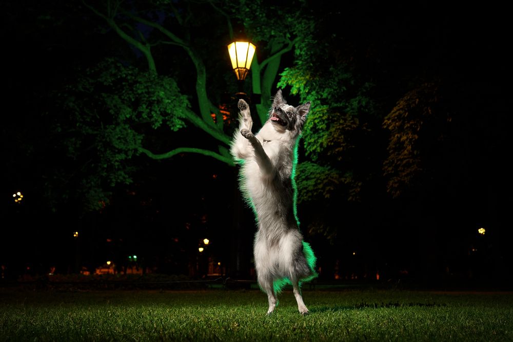 Photograph by Марина Бурмистрова