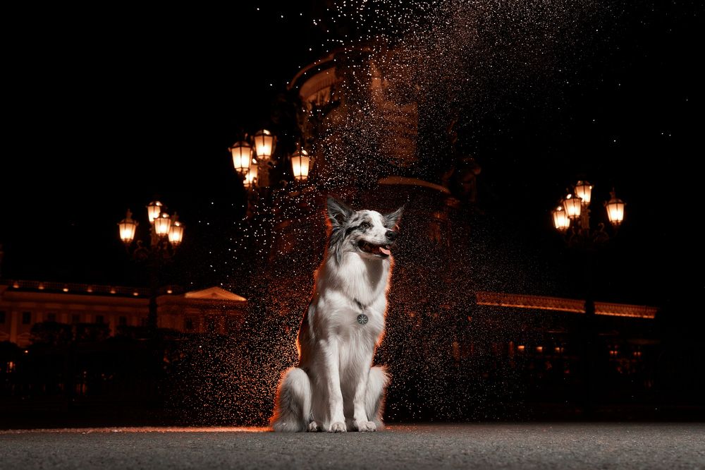 Photograph by Марина Бурмистрова