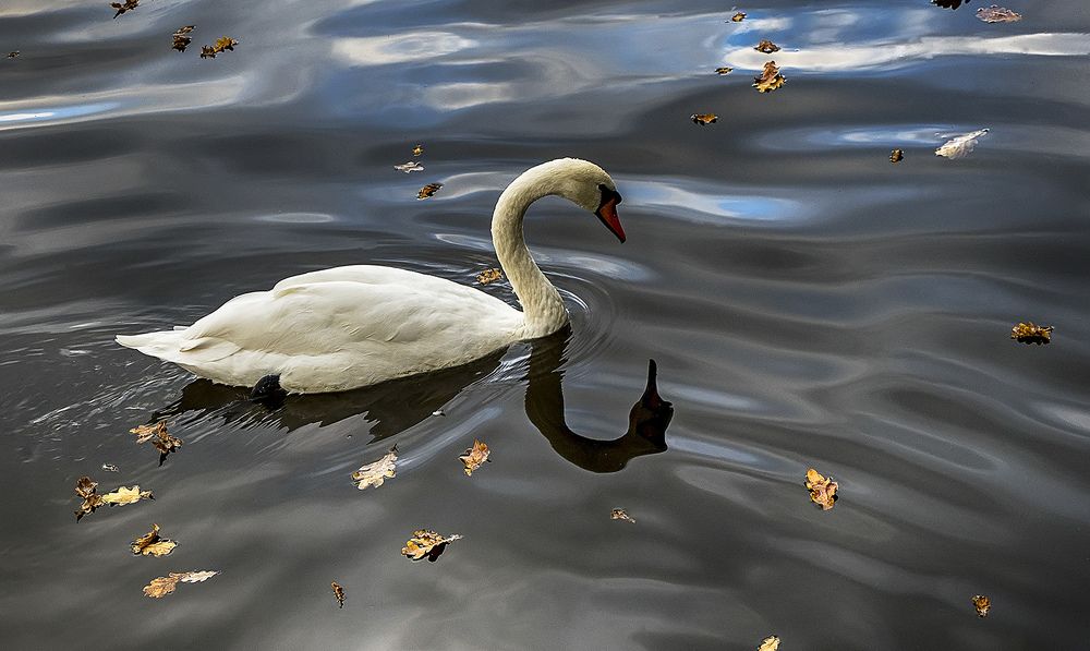 Photograph by Anna Orlova