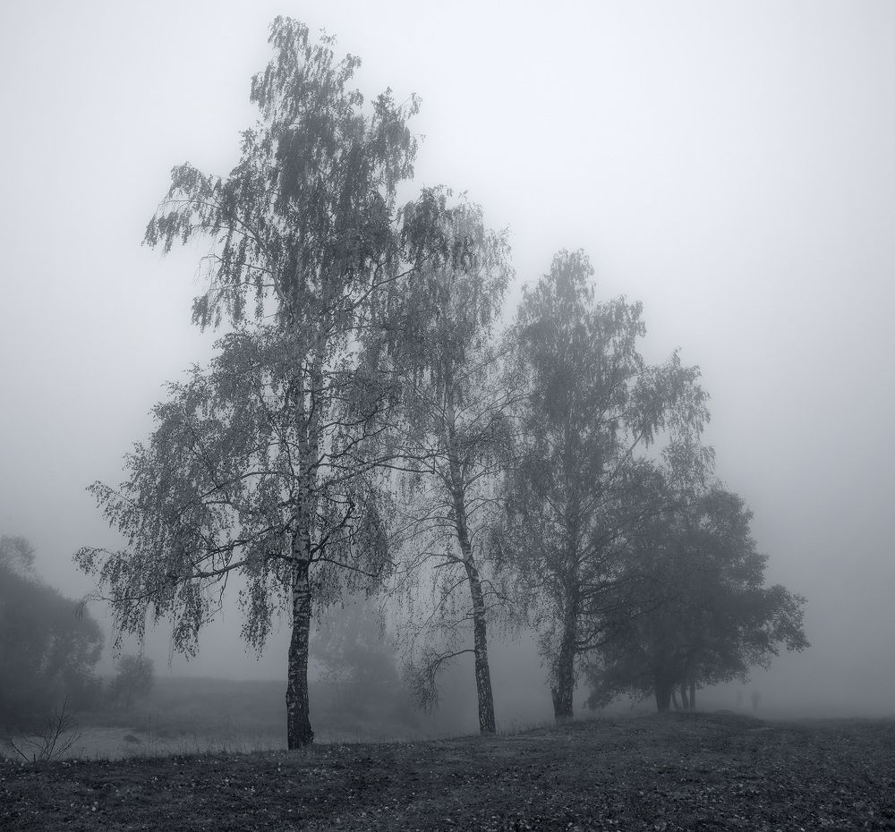 Photograph by Борис Новиков