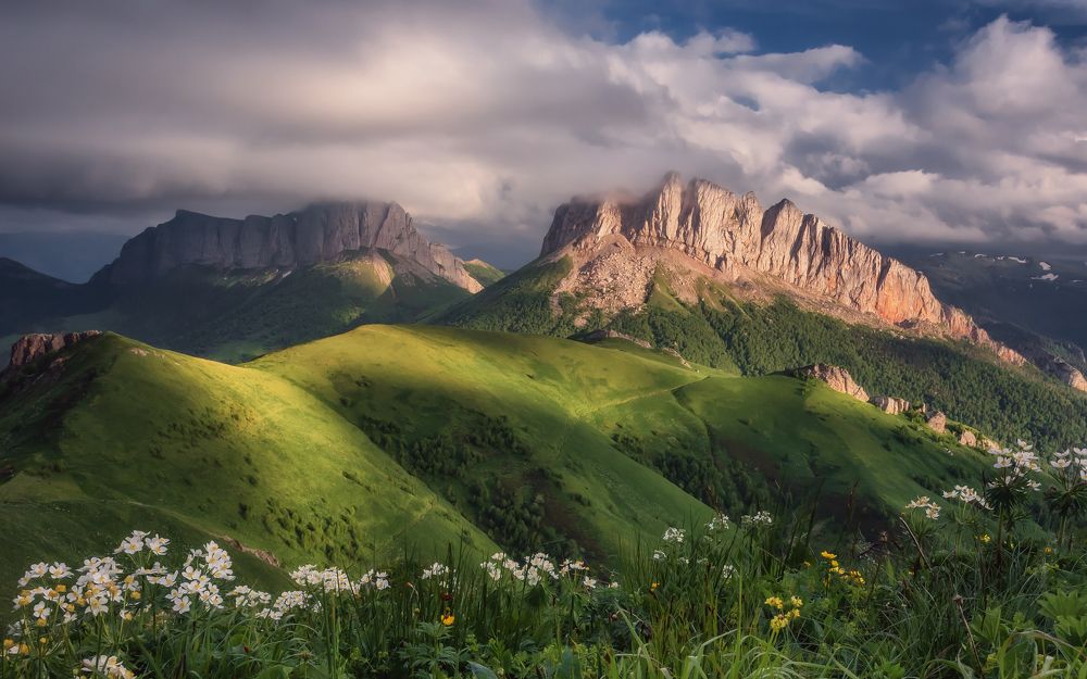 У вечерних Ачешбоков