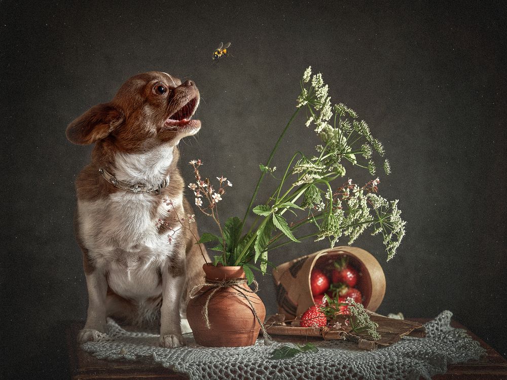 Photograph by Наталия Саватеева