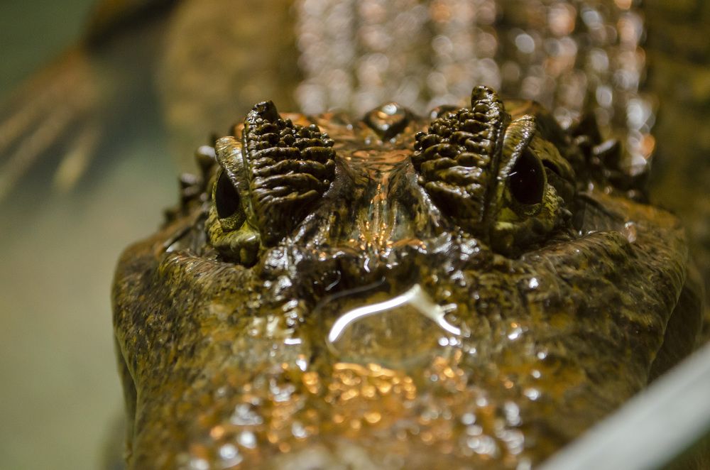 Photograph by Любовь Бусова