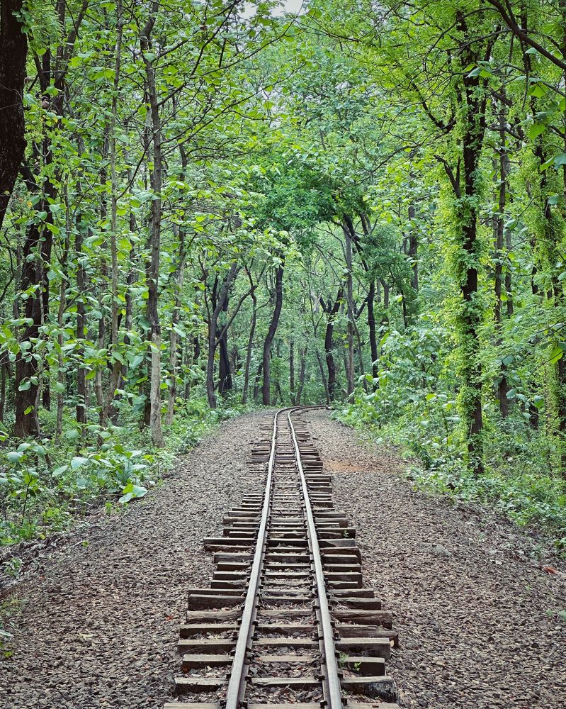 Photograph by Ashish Kalsarpe