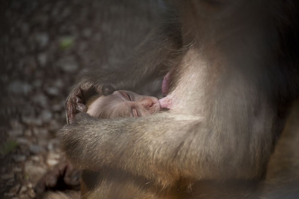Photograph by Белова Лариса