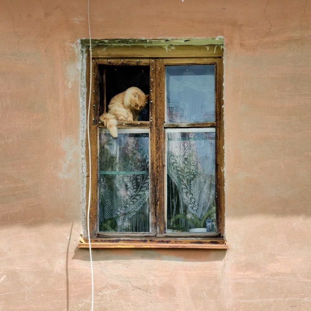 Photograph by Юрий Полушин