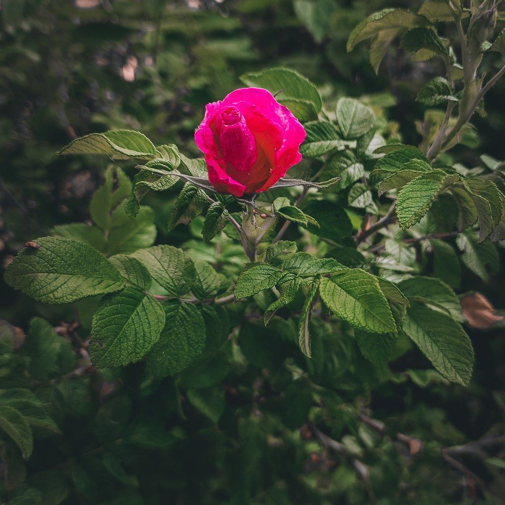 Photograph by Ирина Забродина