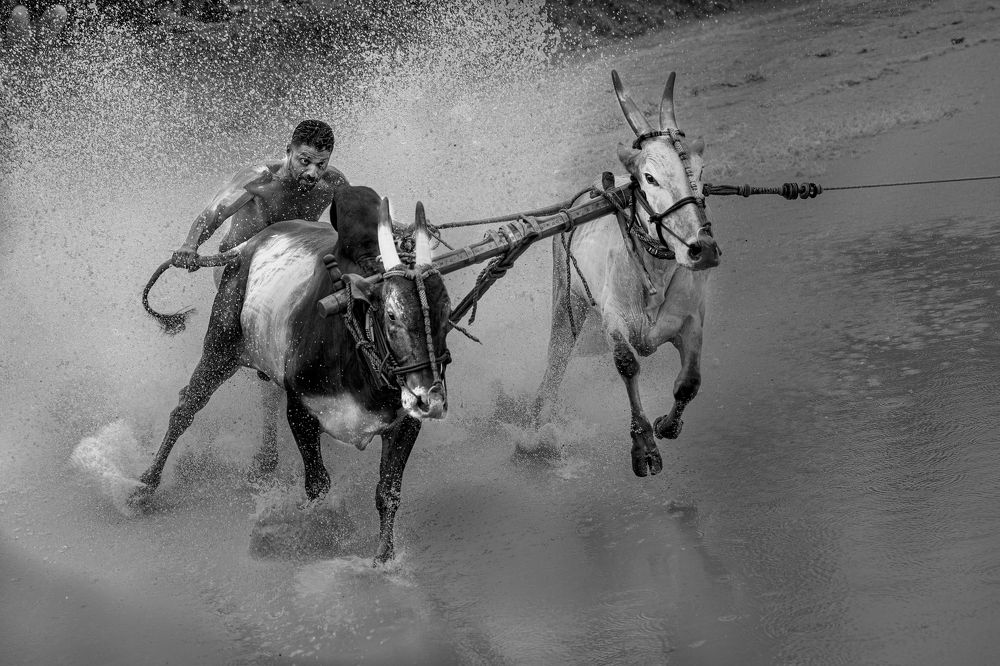 Photograph by praveesh pv