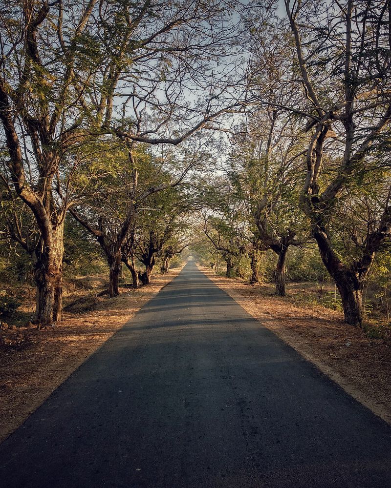 Photograph by Ashish Kalsarpe