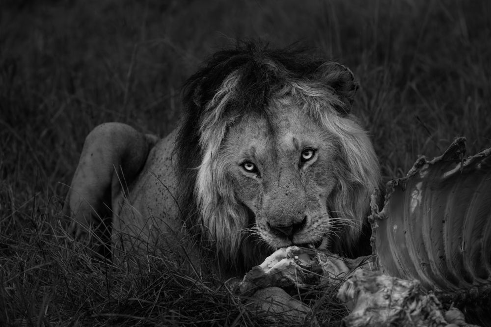 Photograph by praveesh pv