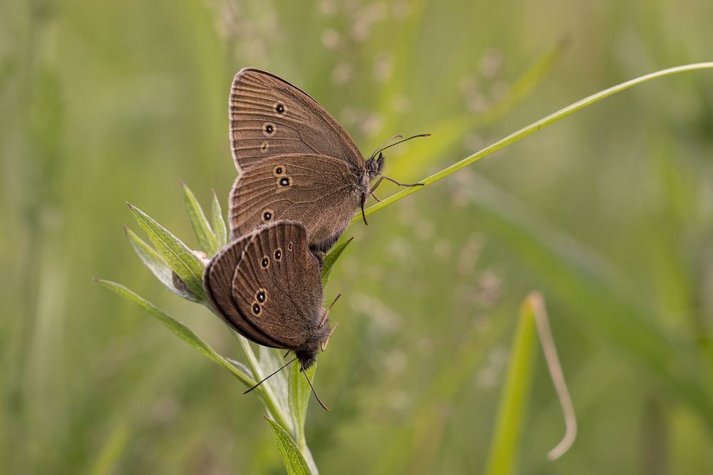 Photograph by Екатерина Бурикова