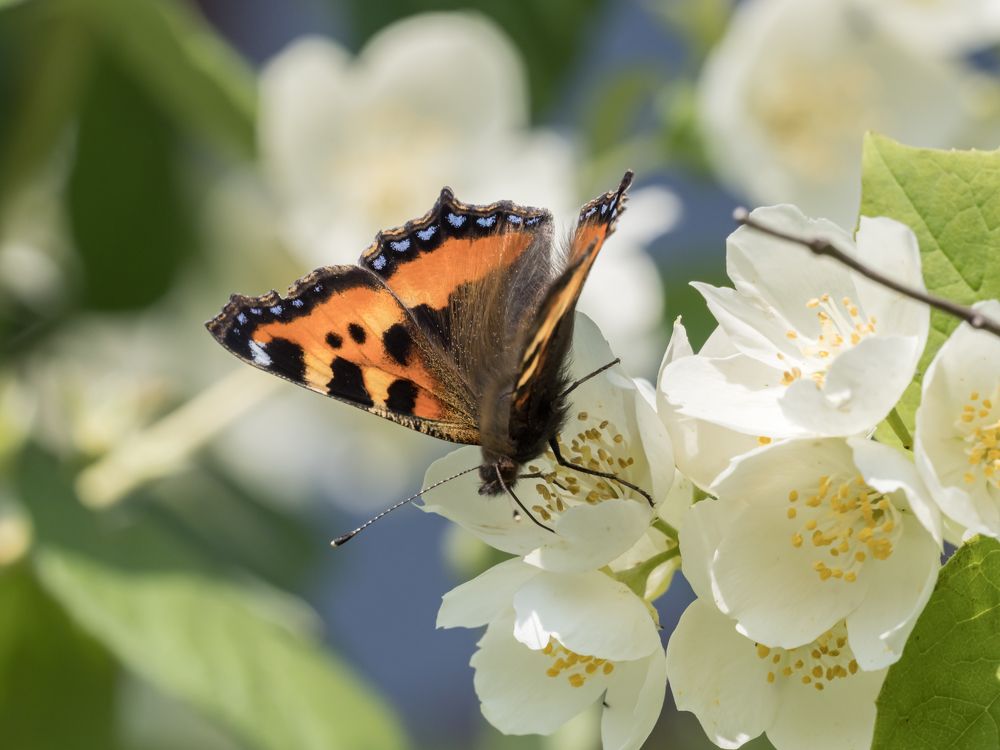 Photograph by Yury Fokin