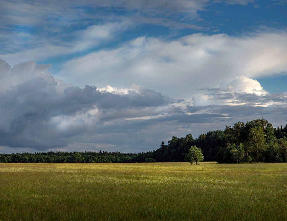 Фотография автора Лариса Абрамова