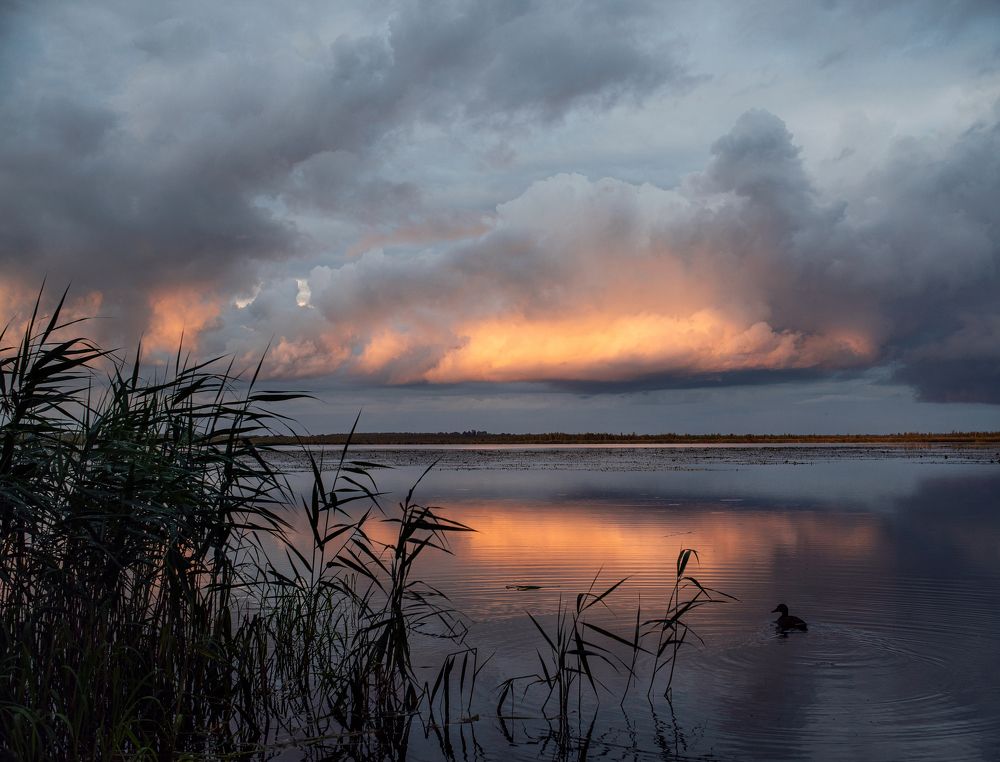 Photograph by Лариса Абрамова