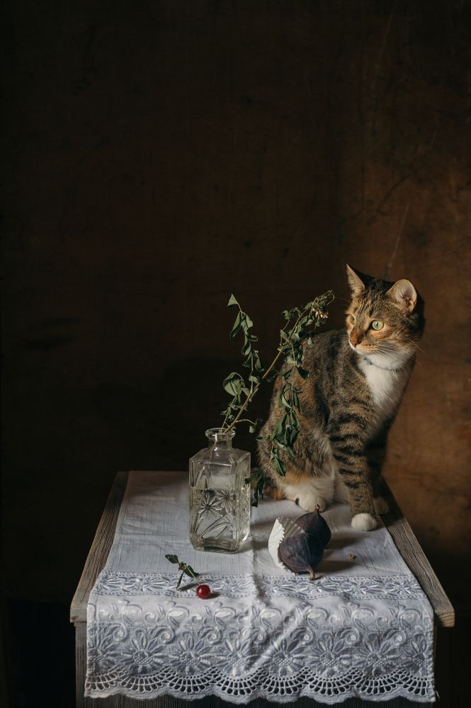 Photograph by Елена Хазина