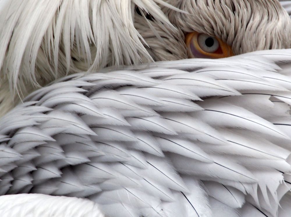 Photograph by Abdolreza Aleagha