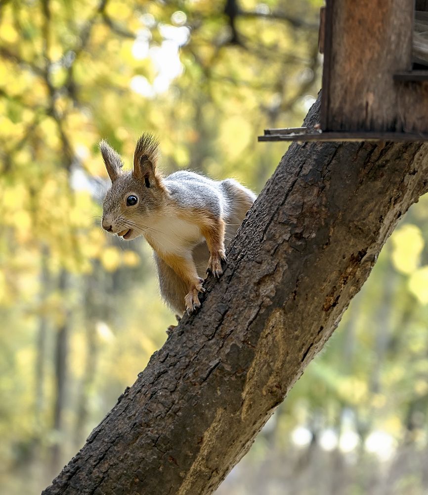 Photograph by Anna Orlova