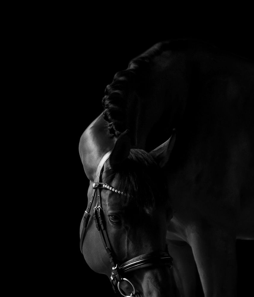 Photograph by Кристина Горковская