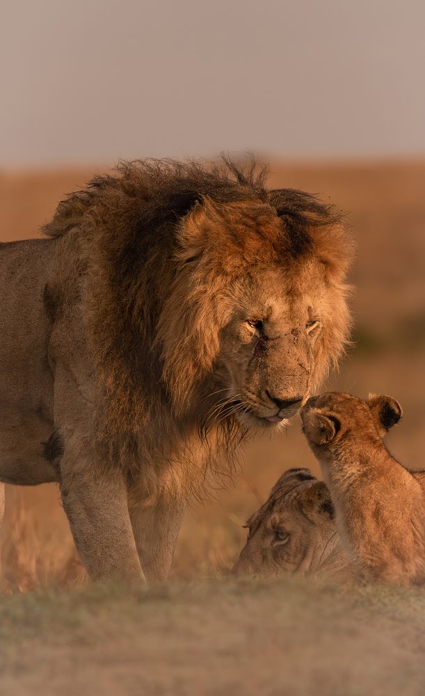 Photograph by praveesh pv