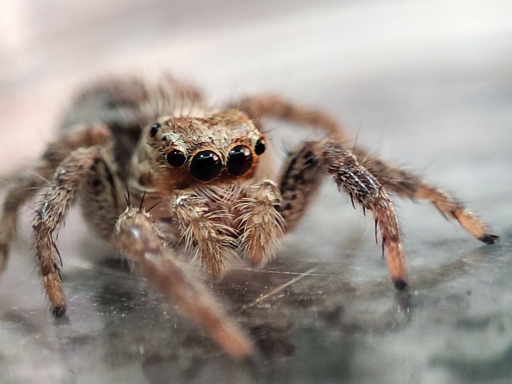 Photograph by Sajad Alizadeh