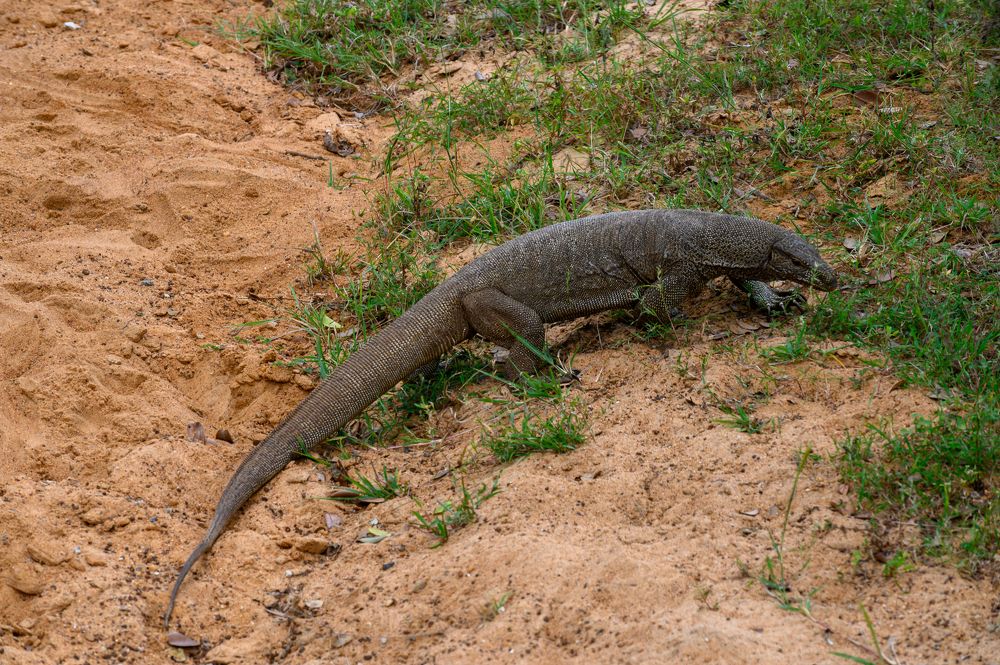 Photograph by Олег Сальников