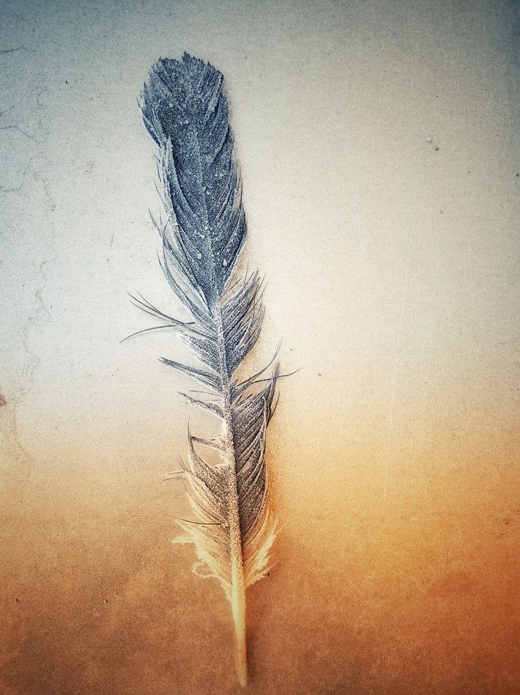 Шарль Перро