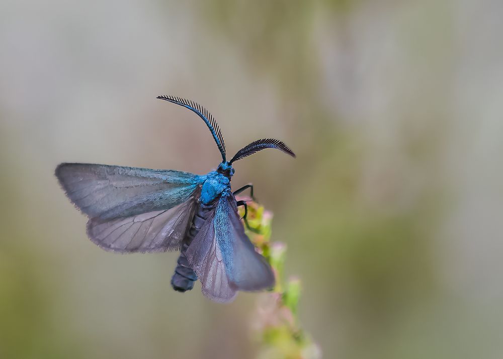 Photograph by Wendy Vanhoudt