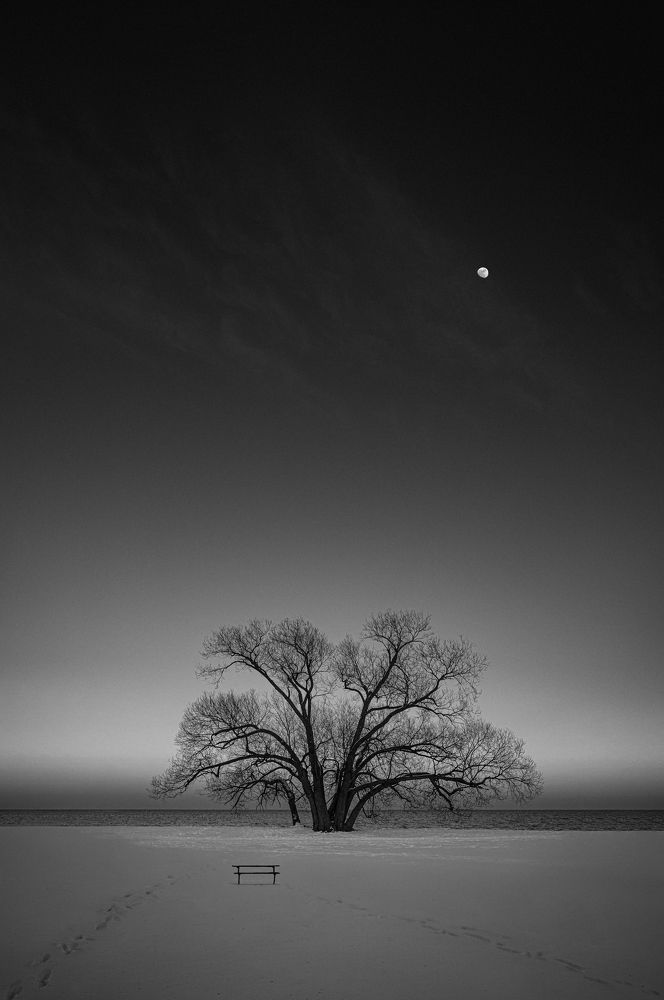 Photograph by Zhenhuan Zhou