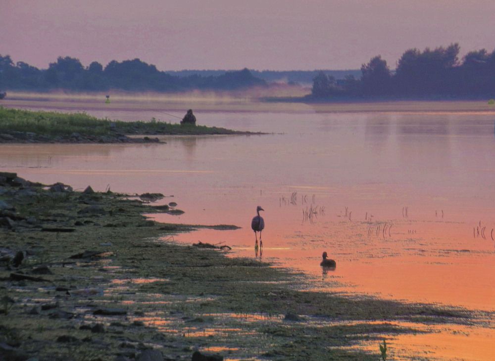 Photograph by Нина Будникова