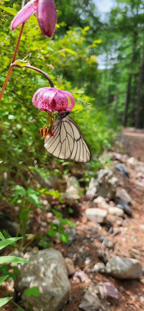 Photograph by Надежда Панкратова