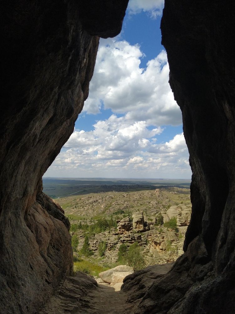 Photo #9275406