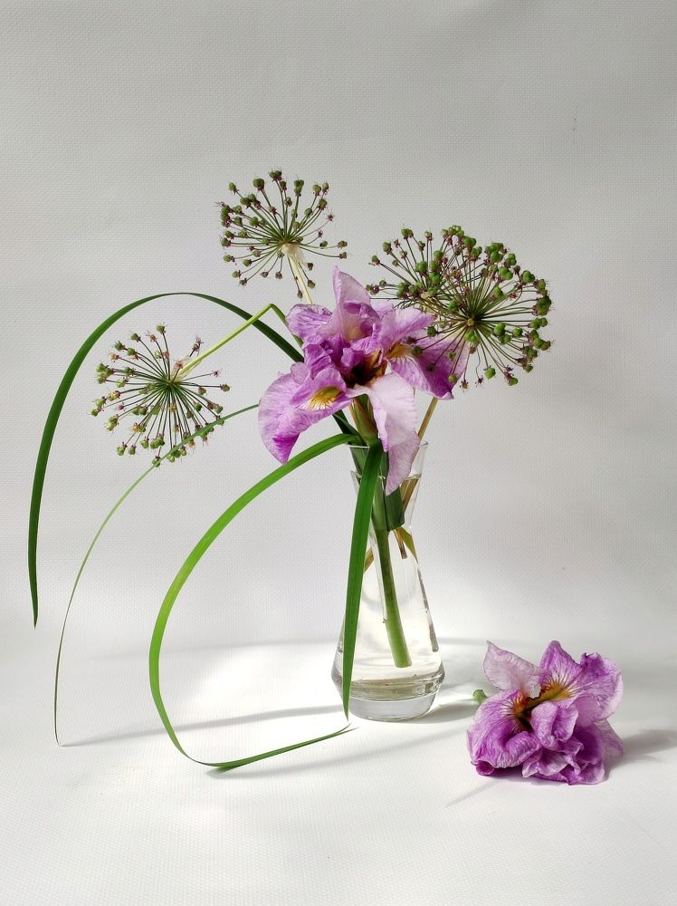 Photograph by Надежда Батракова