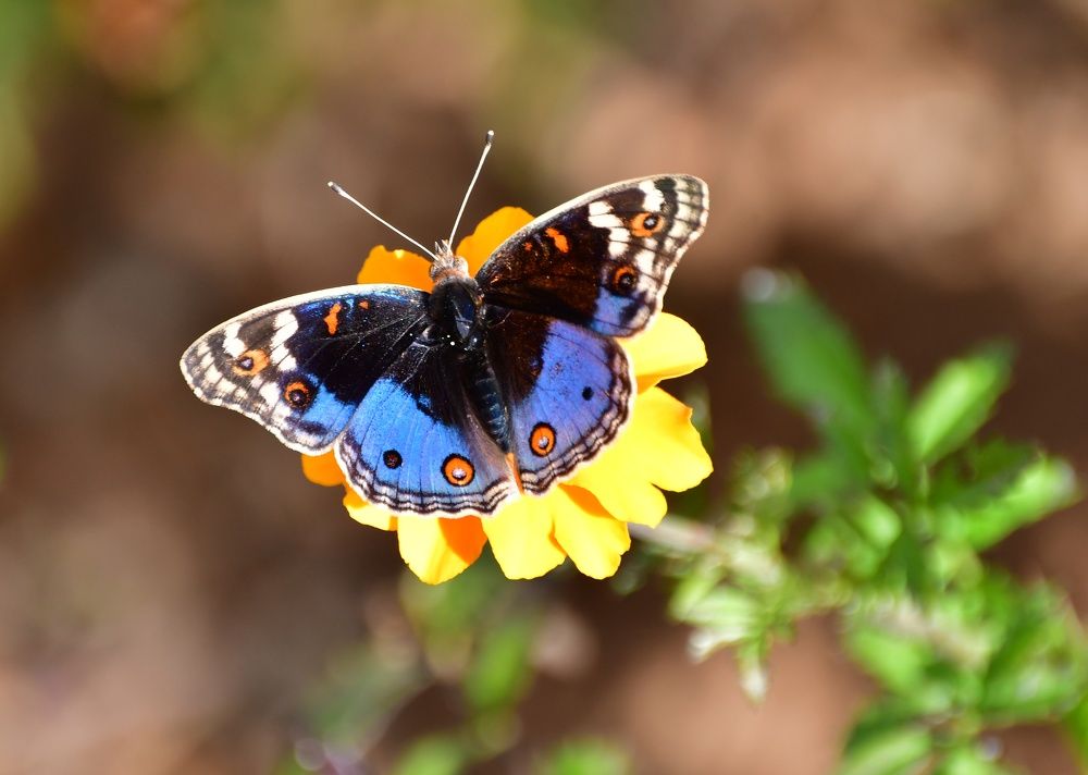 Photograph by Michelle Storm