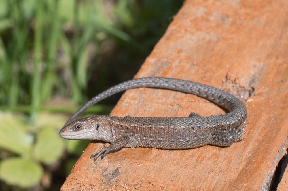 Photograph by Ольга Ельчанинова