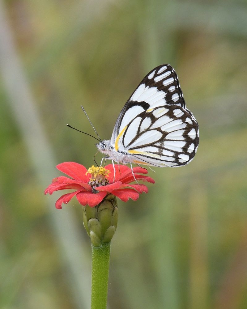 Photograph by Michelle Storm