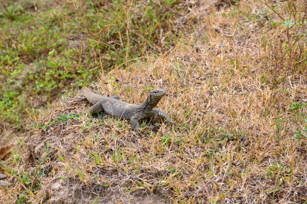 Photograph by Олег Сальников