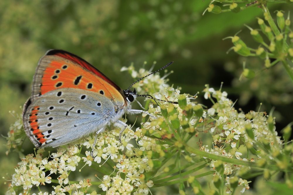 Photograph by Виктор Ноговицин