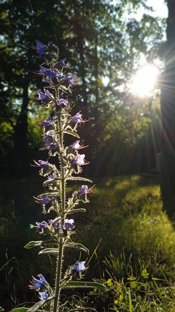 Photograph by Ольга Рыкова