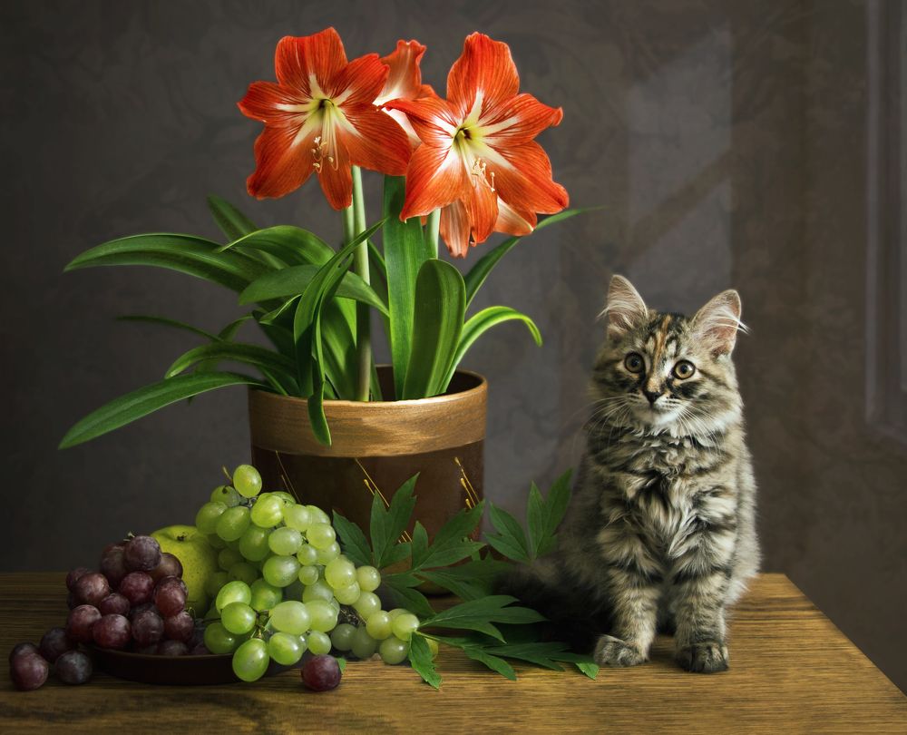 Photograph by Вера Лопатина