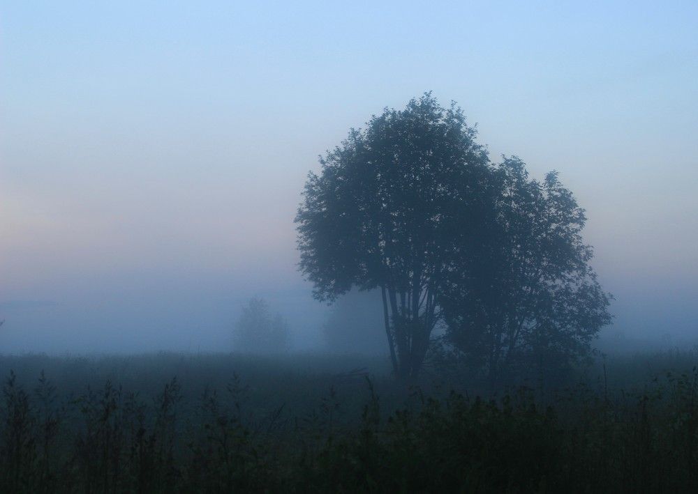 Фотография автора Светлана Терехова